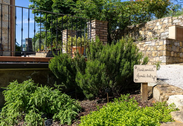 Tenuta Macericca: Außen, Draussen