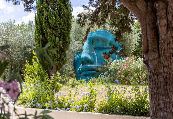 Villa Silvia: Garten