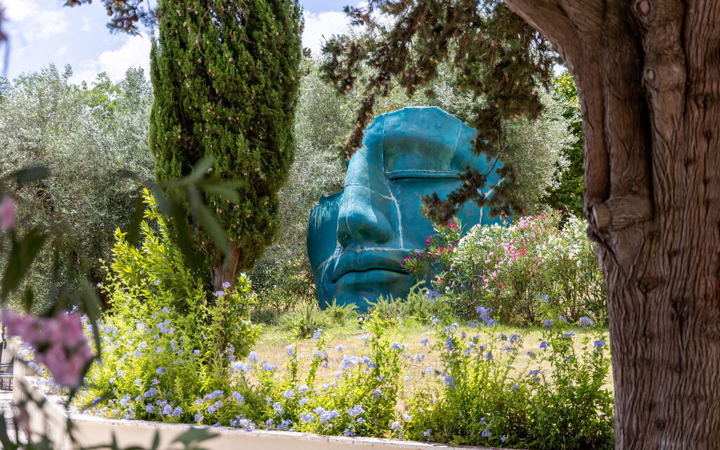 Villa Silvia: Garden