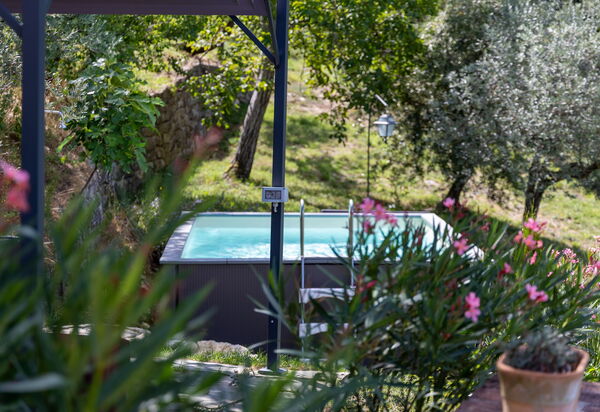 Villanova Lonciano - 2026: Außen, Draussen, Schwimmbad