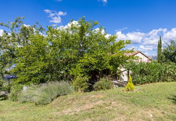 Villanova Lonciano - 2026: Außen, Draussen, Garten