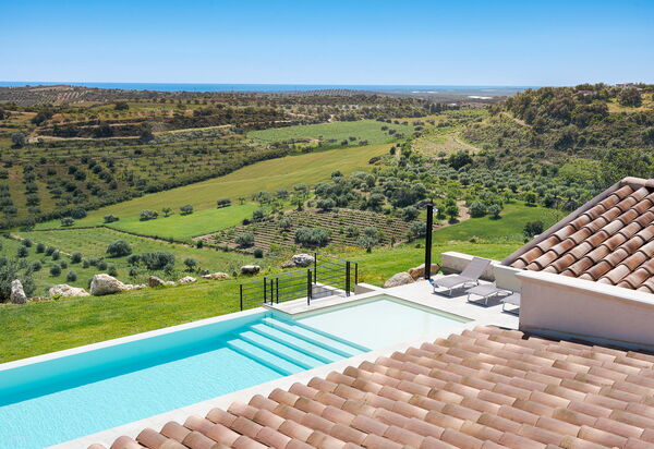 Netina Domus: бассейн, Взгляды, Открытый, Сад