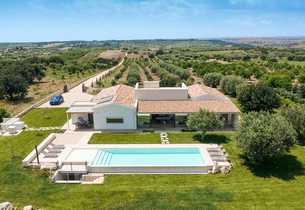 Netina Domus: бассейн, Взгляды, Открытый, Сад