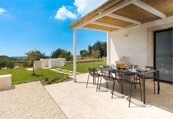 Netina Domus: Открытый