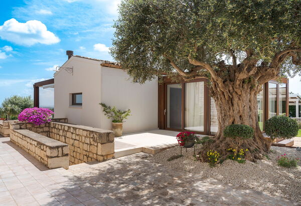 Corte Antigua: Открытый, Экстерьеры