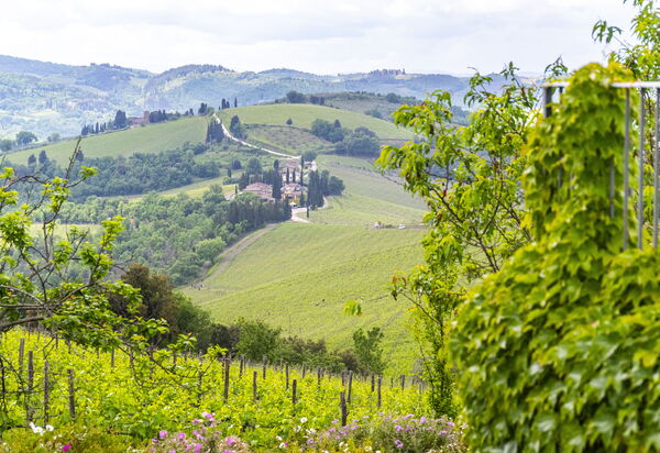 Villa Tenuta Casenuove: Vues
