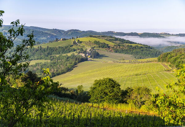 Villa Tenuta Casenuove: Vues