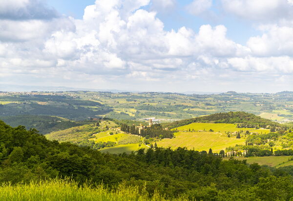 Villa Tenuta Casenuove: Vues