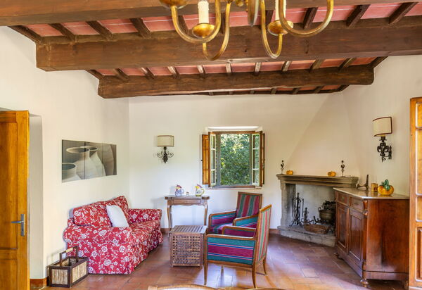 Podere Lupinati: Salon