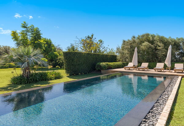 Domus Olivae: бассейн, Открытый, Сад, Экстерьеры