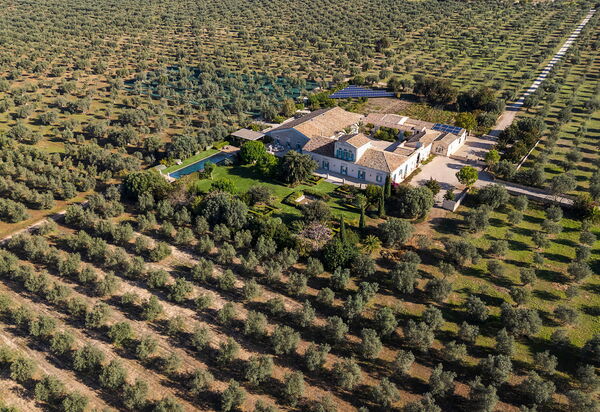 Domus Olivae: Взгляды