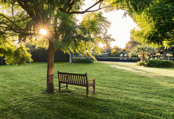 Domus Olivae: Открытый, Сад, Экстерьеры