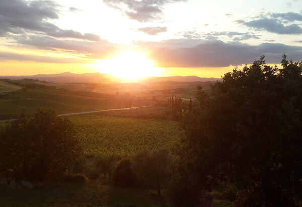 Podere Peteglia: Vues