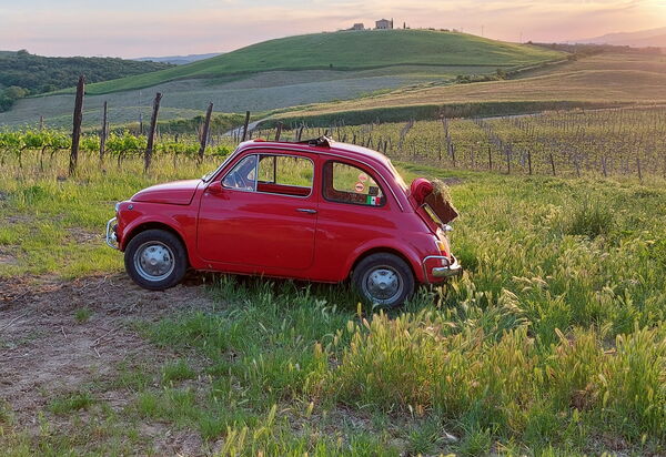 Podere Peteglia: Vues