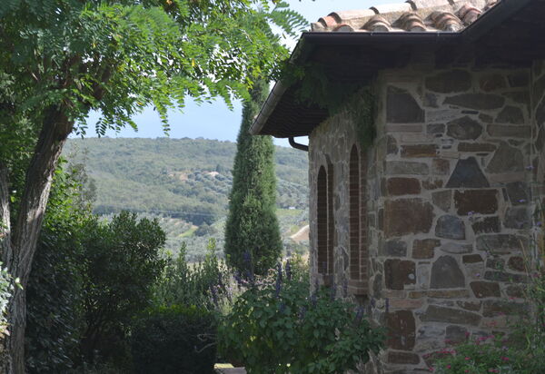 Podere Peteglia: Extérieur, Extérieurs