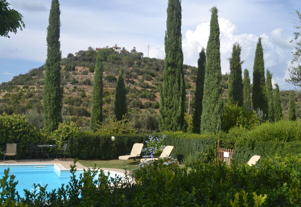 Podere Peteglia: bassin, Extérieur, Extérieurs, Jardin, Vues