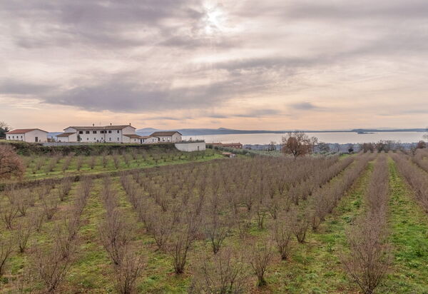 Tenuta Poggio Guiano: Ansichten