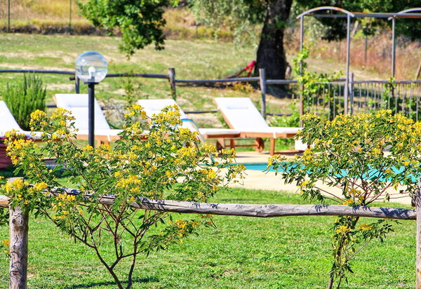 Villa Civita: Сад