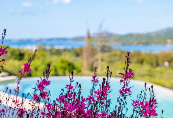 Villa Zephyros: bassin, Vues