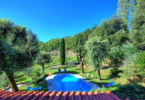 Villa Ulivacci: бассейн