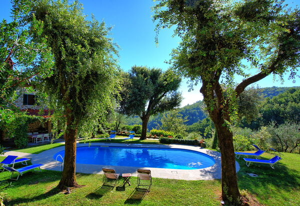 Villa Ulivacci: бассейн, Сад