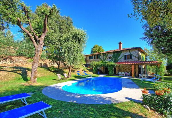 Villa Ulivacci: бассейн, Лето, Открытый, Сад, Экстерьеры