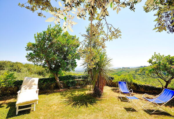 Villa Ulivacci: Сад