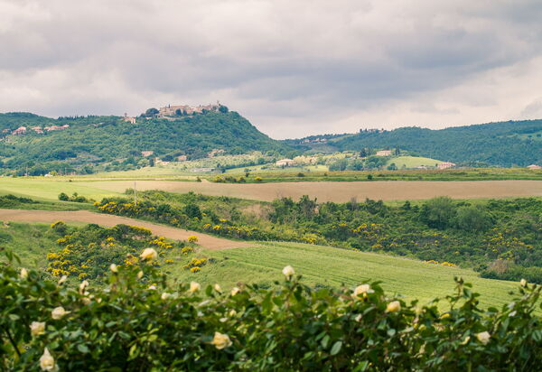 Villa Icario: Scenic View